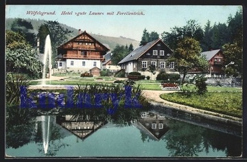 MIĘDZYGÓRZE Wolfelsgrund Hotel Gute Laune 1910