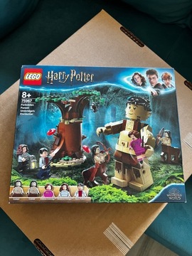 Lego Harry Potter 75967 Zakazany Las Spotkanie