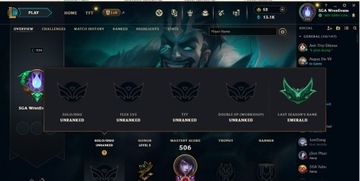 League of Legends Konto Vn | Na własnośc