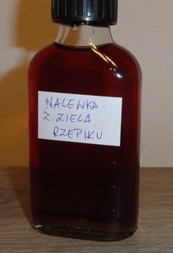 Nalewka z ziela rzepiku pospolitego 100ml rzepik