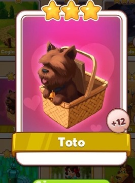 Toto Coin master 