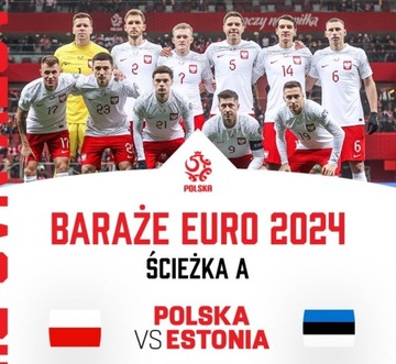 Bilety mecz Polska - Estonia VIP gold 03.2024