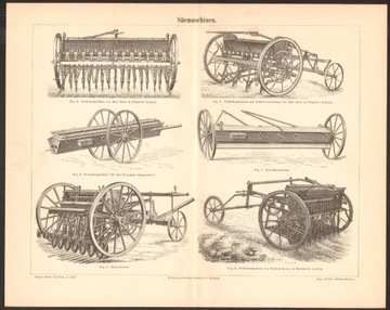 SIEWNIKI litografia z 1888 roku ORYGINAŁ