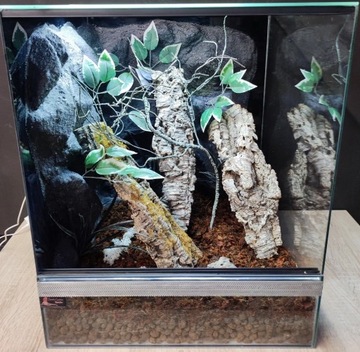 Terrarium dla gekona żaby 50x50x60 