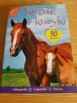 Konie i kucyki książka z plakatami