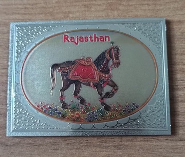 MAGNES NA LODÓWKĘ RAJASTHAN INDIE