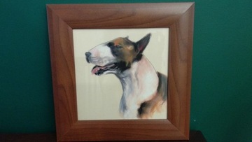 Obrazek obraz w ramie ramce pies bulterier 