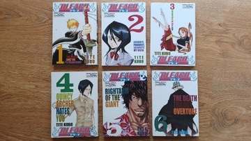 Manga Bleach, Tite Kubo tom 1-6
