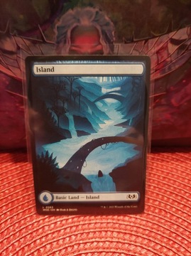 MTG: Basic Land - Island *(0263) *WOE*