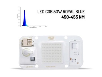 Dioda LED COB 50W 230V ROYAL BLUE 450-455 NM