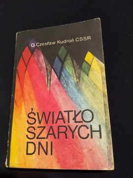 Światło szarych dni