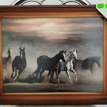 Obraz  konie  reprodukcja