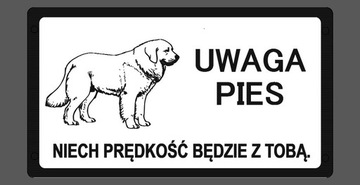 Tabliczka uwaga pies owczarek podhalański