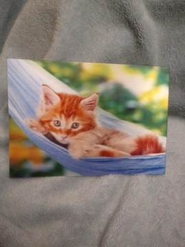Pocztówka trójwymiarowa kotek w hamaku