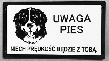 tabliczki uwaga zły pies duży wybór amstaff