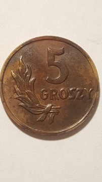 5 groszy 1949r.  Polska  #97