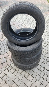 Dębica frigo hp2 205/55r16 91h Opona Opony 