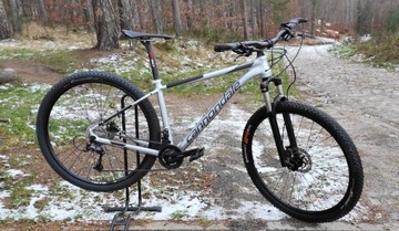 Cannondale Trail Six M 29" Shimano 1x9 Żyleta