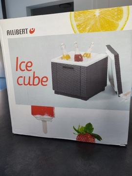 Barek ogrodowy  allibert ice cube