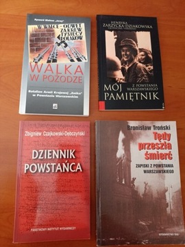 Powstanie Warszawskie, pamiętnik