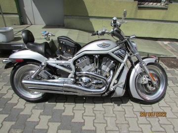 Harley V-ROD 2003 Rocznicowy