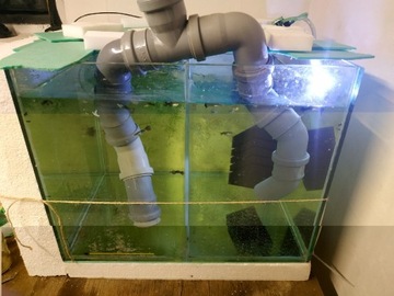 Działające akwarium z filtrem zewnętrznym