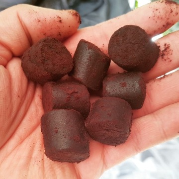 DBaits Pellet Blood Halibut SUM/KARP 22mm 5kg