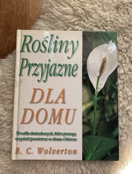 Rośliny przyjazne dla domu - Wolverton