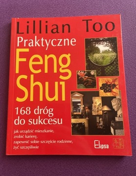 Praktyczne feng shui 168 dróg do sukcesu Too