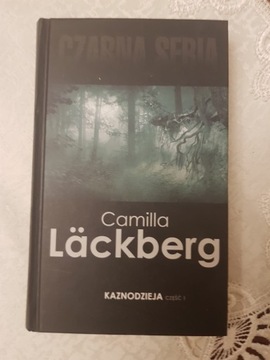 Kaznodzieja - Camilla Lackberg - część 1