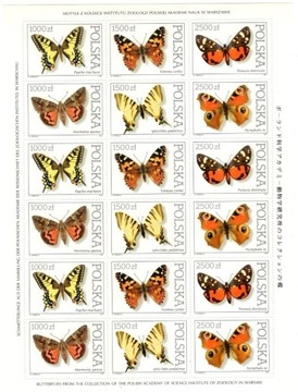 A3x(3195-3200) Motyle z Instytutu Zoologii PAN 