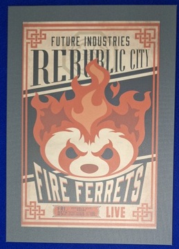 Fire Ferrets plakat Korra Avatar Displate + montaż