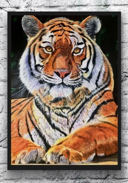 Tygrys obraz olejny 70x50cm