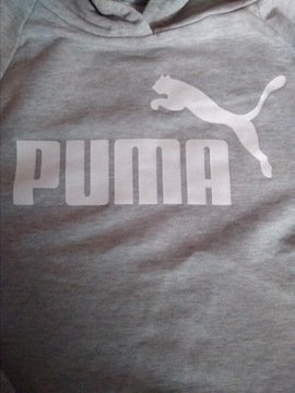 Bluza Puma z kapturem