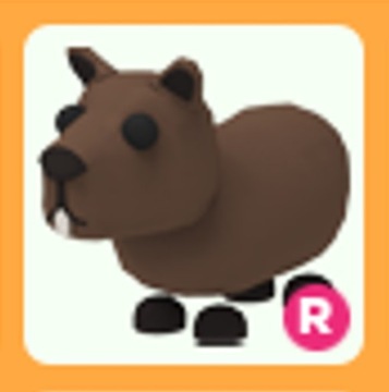 Roblox Adopt Me Capybara R