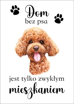 Plakat Dom bez psa jest tylko zwykłym mieszkaniem