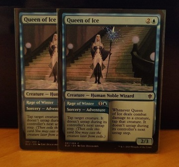 Karta Magic: the Gathering - Queen of Ice x2