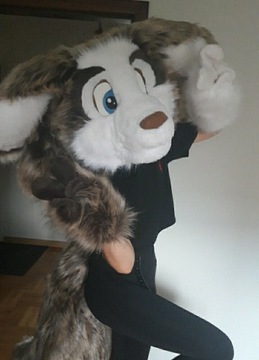 Fursuit Kostium Psa/Wilka ŁAPY, GŁOWA, OGON