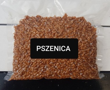 Pszenica 25 kg Pakowana próżniowo