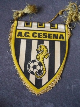 AC CESENA PROPORCZYK 8,5/10 cm