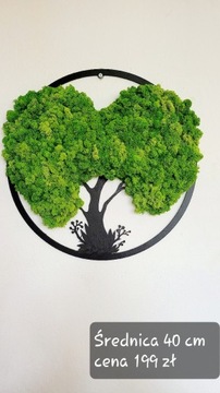 Drzewo serce, żywy obraz, mech chrobotek 40 cm