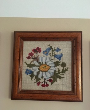 Obraz haft krzyżykowy kwiat stokrotka  28x28 cm z 