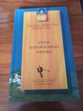 Cuda naturalnego umysłu Tenzin Rinpoche, Grabiak