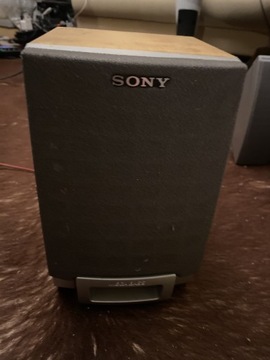 Głośniki Sony R35L