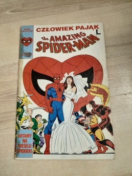 The Amazing Spider-man 2/91 TM-Semic nr17