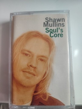 Shawn Mullins - soul's core 