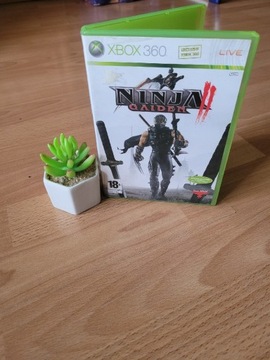 Ninja Gaiden Xbox 360
