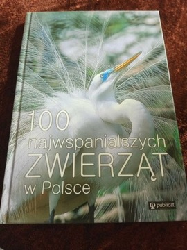 Album sto najwspanialszych zwierząt w Polsce nowe