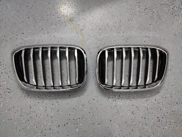 Grill Nerki BMW X3 G01 