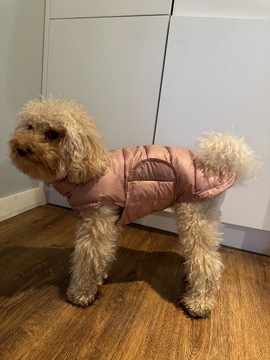 Nowa kamizelka dla psa różowa ciepła 